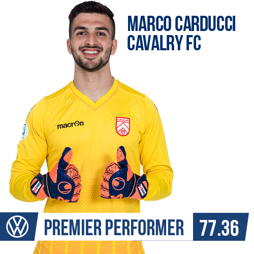 Premier_Performer-Carducci-500x500 (1)